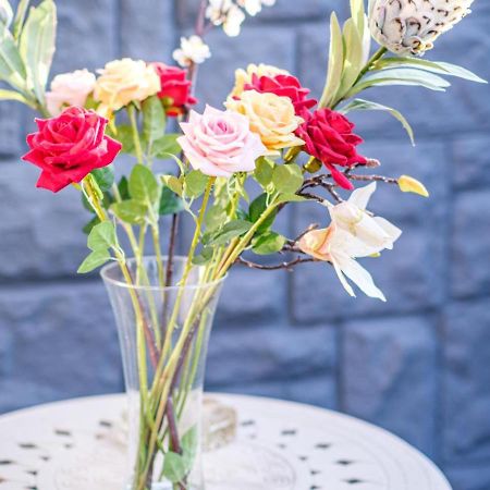Hurlingham House Guest House ヨハネスブルグ エクステリア 写真